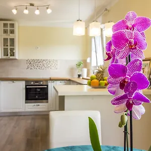 apartman-maxim.pula-hotels.org/
